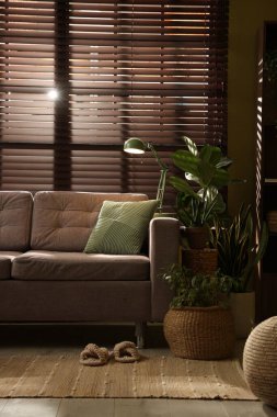 Kanepesi ve çiçekleri olan şık bir oturma odası. İç tasarım