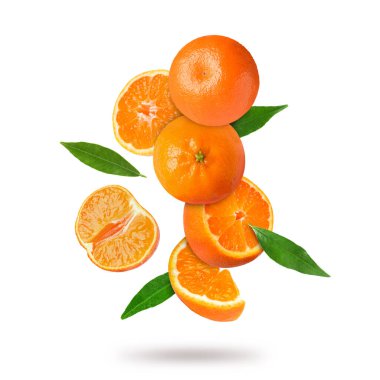 Beyaz arka plana düşen taze mandalina ve yeşil yapraklar. Citrus meyvesi.