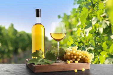 Şişe ve bardakta şarap, üzüm bağında taze üzüm.