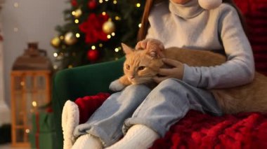 Noel Baba şapkalı küçük bir kız ve Noel için dekore edilmiş şirin kedisi koltukta oturuyor. Kamera ileri ve yukarı hareket ediyor