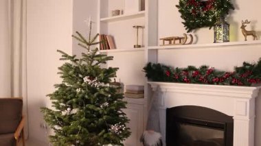 Güzel Noel ağacı ve şöminenin yanındaki dekoratif cüce.