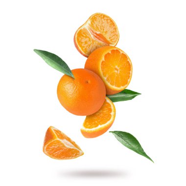 Beyaz arka plana düşen taze mandalina ve yeşil yapraklar. Citrus meyvesi.