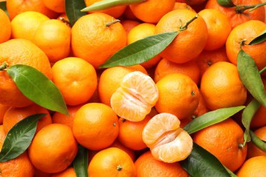 Arka plan olarak yeşil yapraklı taze mandalinalar.