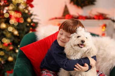 Noel için dekore edilmiş, şirin köpeğiyle küçük bir çocuk.