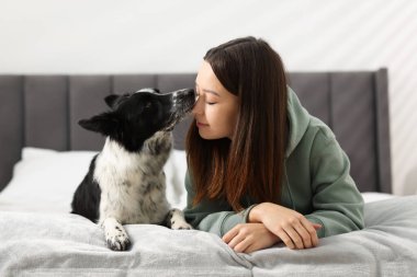 Evde yatağında Collie köpeği olan bir kadın.