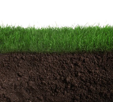 Beyaz arka planda yemyeşil çimenleri olan toprak