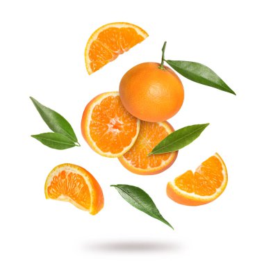 Beyaz arka plana düşen taze mandalina ve yeşil yapraklar. Citrus meyvesi.