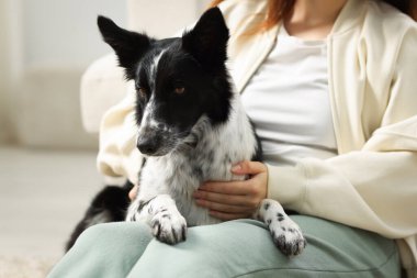 Evde Collie köpeği olan sevimli bir kadın var, yakın plan.