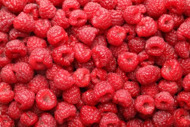 Arka plan olarak taze ahududu, üst manzara