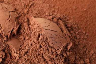 Pile of cocoa powder as background, closeup