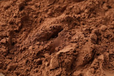 Arka plan olarak doğal kakao tozu, yakın plan görünümü