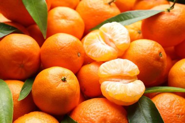 Arka plan olarak yeşil yapraklı taze mandalinalar, yakın plan.