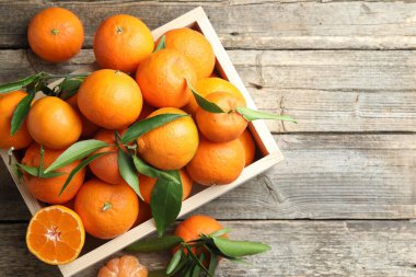 Taze mandalina ve yeşil yapraklar ahşap masa üzerinde, üst manzara. Metin için boşluk