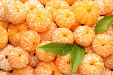 Birçok olgun soyulmuş mandalina ve yeşil yapraklar, üst manzara