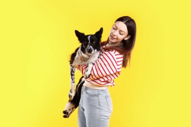 Sarı arka planda sevimli Sınır Collie köpeği olan bir kadın.