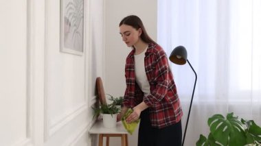 Ev bitkisi olan bir kadın konsol masasındaki tozları siliyor, kamera içeri giriyor.