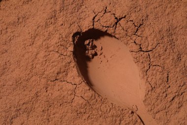 Arka plan olarak kakao tozundan yapılmış kaşık, üst görünüm