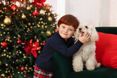 Küçük çocuk, Noel için dekore edilmiş şirin köpeğiyle odada.