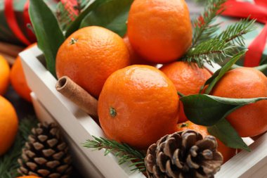 Olgun mandalinalar, baharatlar, köknar ağacı dalları ve koniler masada, yakın plan.