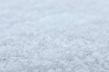 Arka plan olarak güzel beyaz kar taneleri, makro görünüm