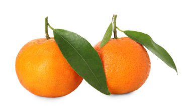 İki olgun mandalina ve beyaz yapraklar.