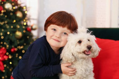 Küçük çocuk, Noel için dekore edilmiş şirin köpeğiyle odada.