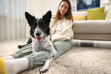 Evde Collie köpeği olan sevimli bir kadın, seçici bir odaklanma. Metin için boşluk