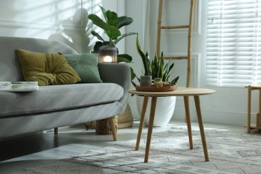 Kanepesi ve çiçekleri olan şık bir oturma odası. İç tasarım