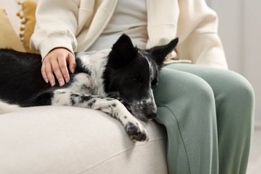 Evdeki kanepede şirin bir Collie köpeği olan kadın, yakın plan.