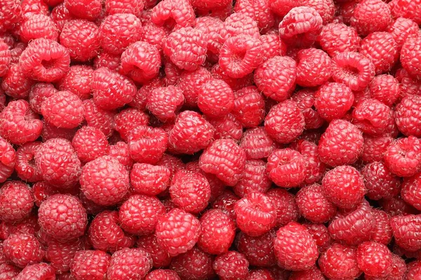 Arka plan olarak taze ahududu, üst manzara