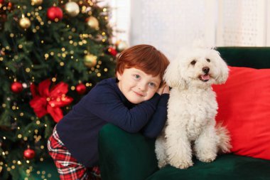 Küçük çocuk, Noel için dekore edilmiş şirin köpeğiyle odada.