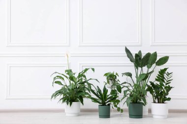 Beyaz duvarın yanındaki yerde çok güzel saksılar var. Metin için boşluk