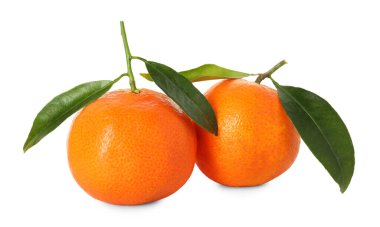 İki olgun mandalina ve beyaz yapraklar.