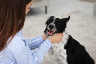 Evde Collie köpeği olan sevimli bir kadın var, yakın plan.