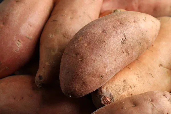 Taze taze patatesler arka planda, yakın plan.