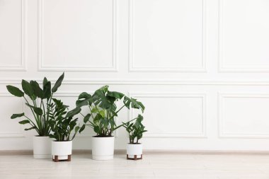 Beyaz duvarın yanındaki yerde çok güzel saksılar var. Metin için boşluk