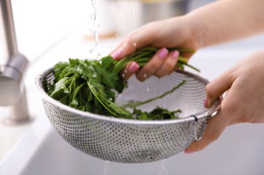 Lavaboda maydanozu elek yıkayan kadın, yakın plan.