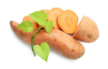 Tüm, tatlı patatesler ve yeşil yapraklı dallar beyaz, üst manzara