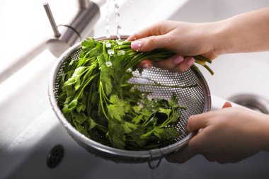 Lavaboda maydanozu elek yıkayan kadın, yakın plan.