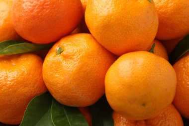 Taze mandalina ve yeşil yapraklar, yakın plan. Citrus meyvesi.