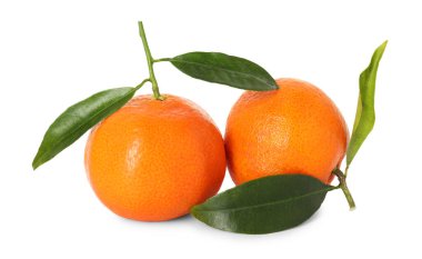 İki olgun mandalina ve beyaz yapraklar.