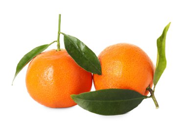 Taze mandalinalar ve beyaz yapraklar.