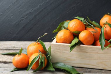 Tahta masadaki yapraklarla taze taze mandalinalar, yakın plan. Metin için boşluk