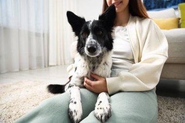 Evde Collie köpeği olan sevimli bir kadın var, yakın plan.