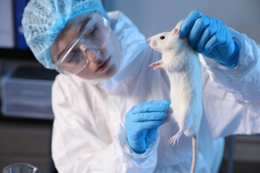 Laboratuvarda fareyle çalışan bilim adamı, seçici odaklanma