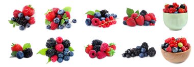 Beyaza izole edilmiş taze böğürtlen karışımı.