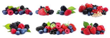 Beyaza izole edilmiş taze böğürtlen karışımı.