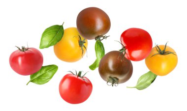 Beyaz arka plana düşen taze domates ve fesleğen yaprakları