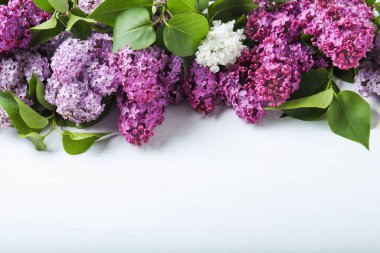 Beyaz ahşap arka planda farklı çiçek açan leylak dallar. Metin için boşluk