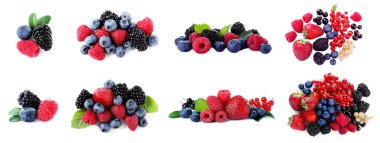 Beyaza izole edilmiş taze böğürtlen karışımı.